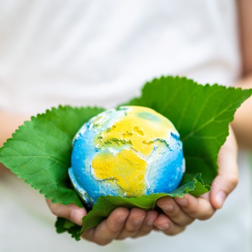 Global Environmental Laws: A 2024 Outlook