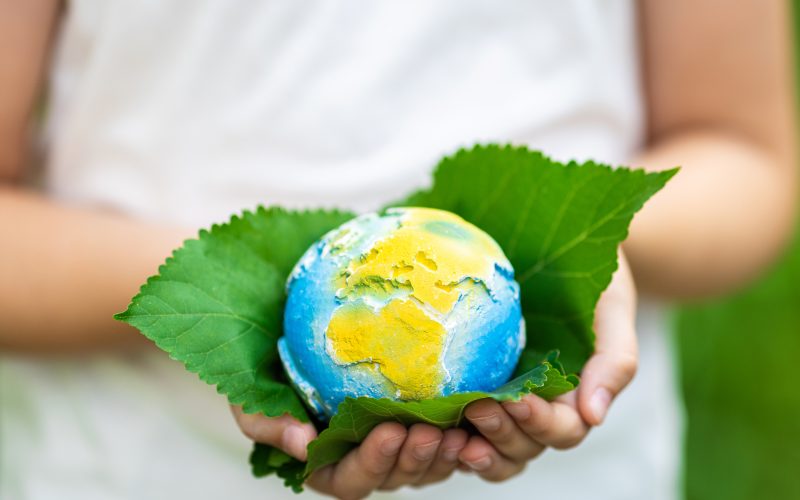 Global Environmental Laws: A 2024 Outlook