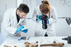 role of forensic experts