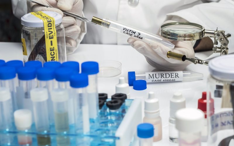 Building a Case: Insights from a Forensic Expert in Criminal Investigations